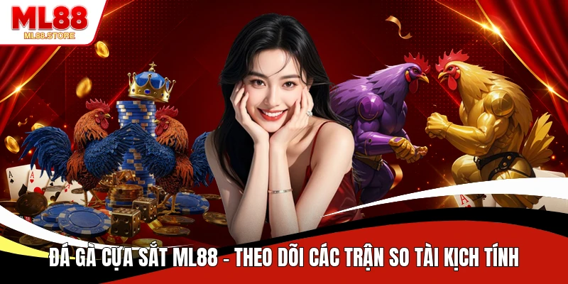 Đá Gà Cựa Sắt ML88