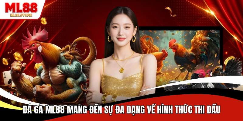 Đá gà ML88  mang đến sự đa dạng về hình thức thi đấu 