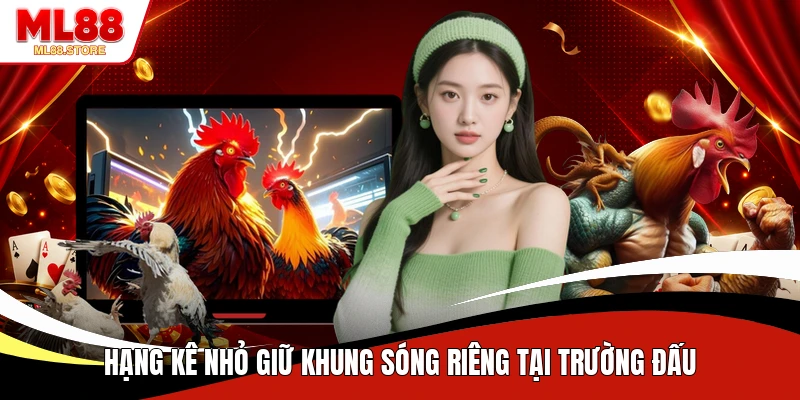 Hạng kê nhỏ giữ khung sóng riêng tại trường đấu
