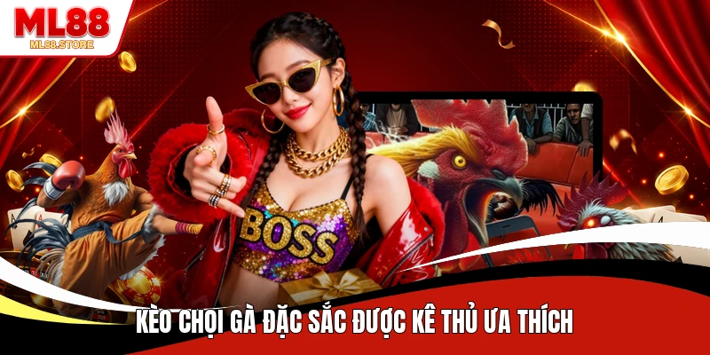 Kèo chọi gà đặc sắc được kê thủ ưa thích