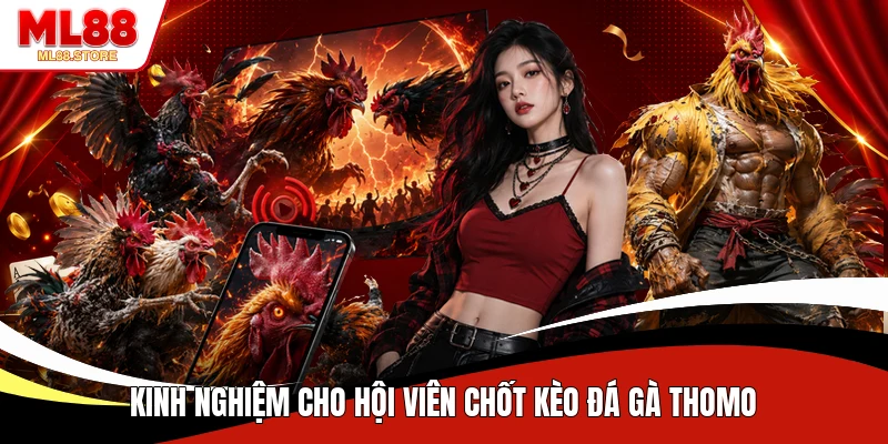 Kinh nghiệm cho hội viên chốt kèo đá gà Thomo