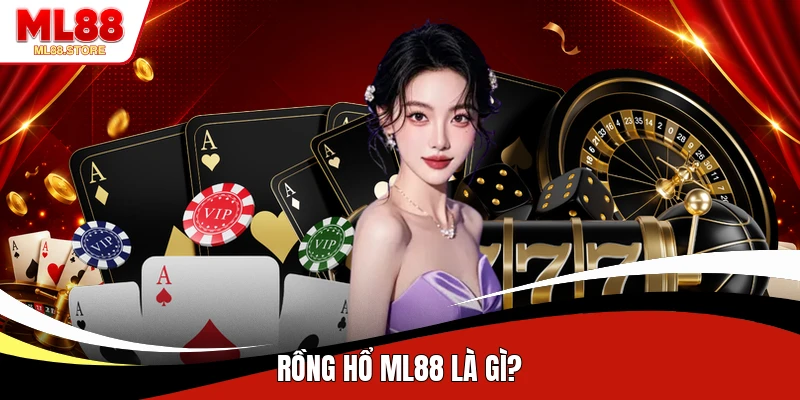 Rồng Hổ ML88 là gì?