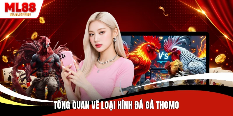 Tổng quan về loại hình đá gà Thomo